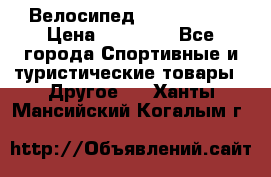 Велосипед Viva Castle › Цена ­ 14 000 - Все города Спортивные и туристические товары » Другое   . Ханты-Мансийский,Когалым г.